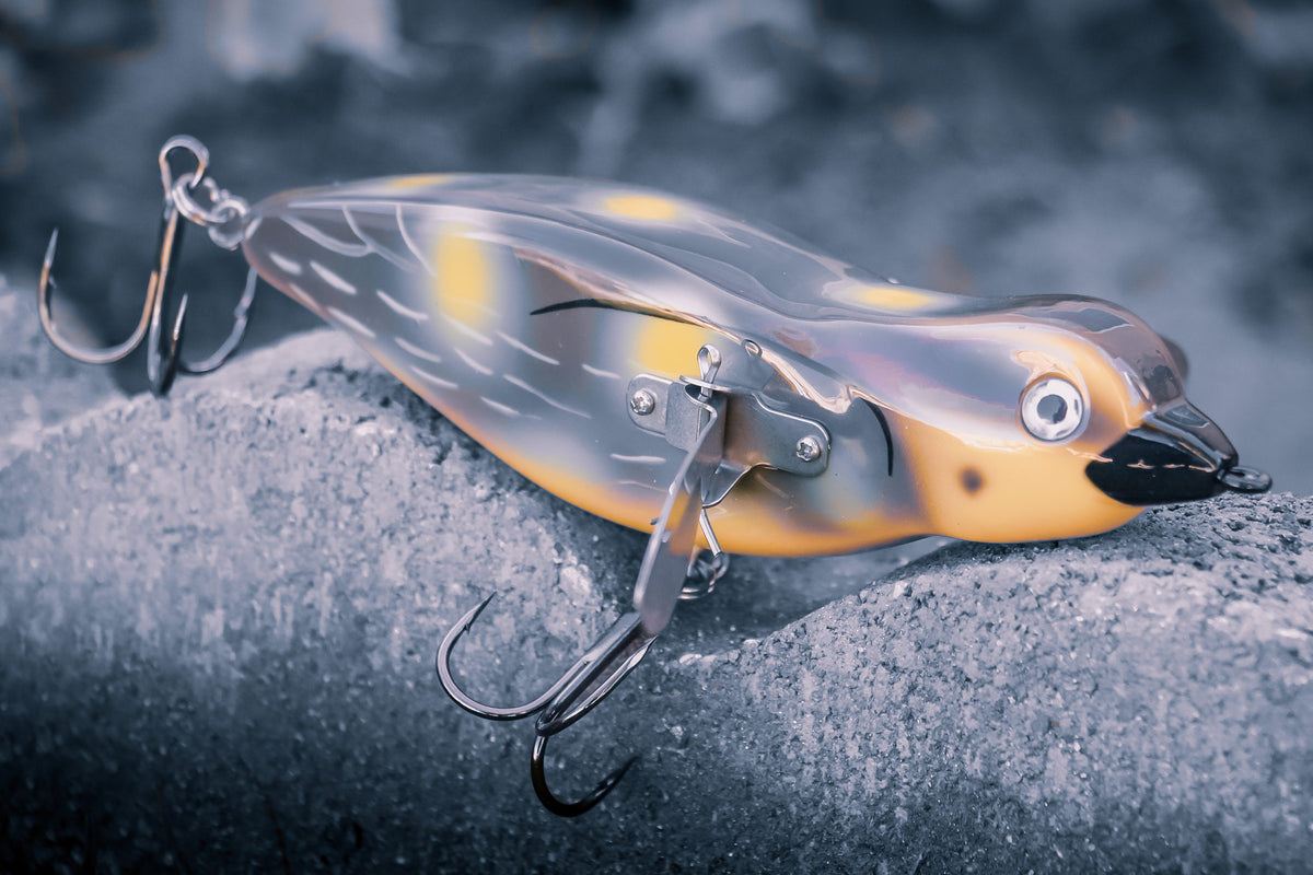 baby bird bass lure DEFIANT 6" BIRD TOPWATER CRAWLER – Canadian Tackle Store