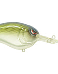 SPRO Little John DD 70 Crankbait