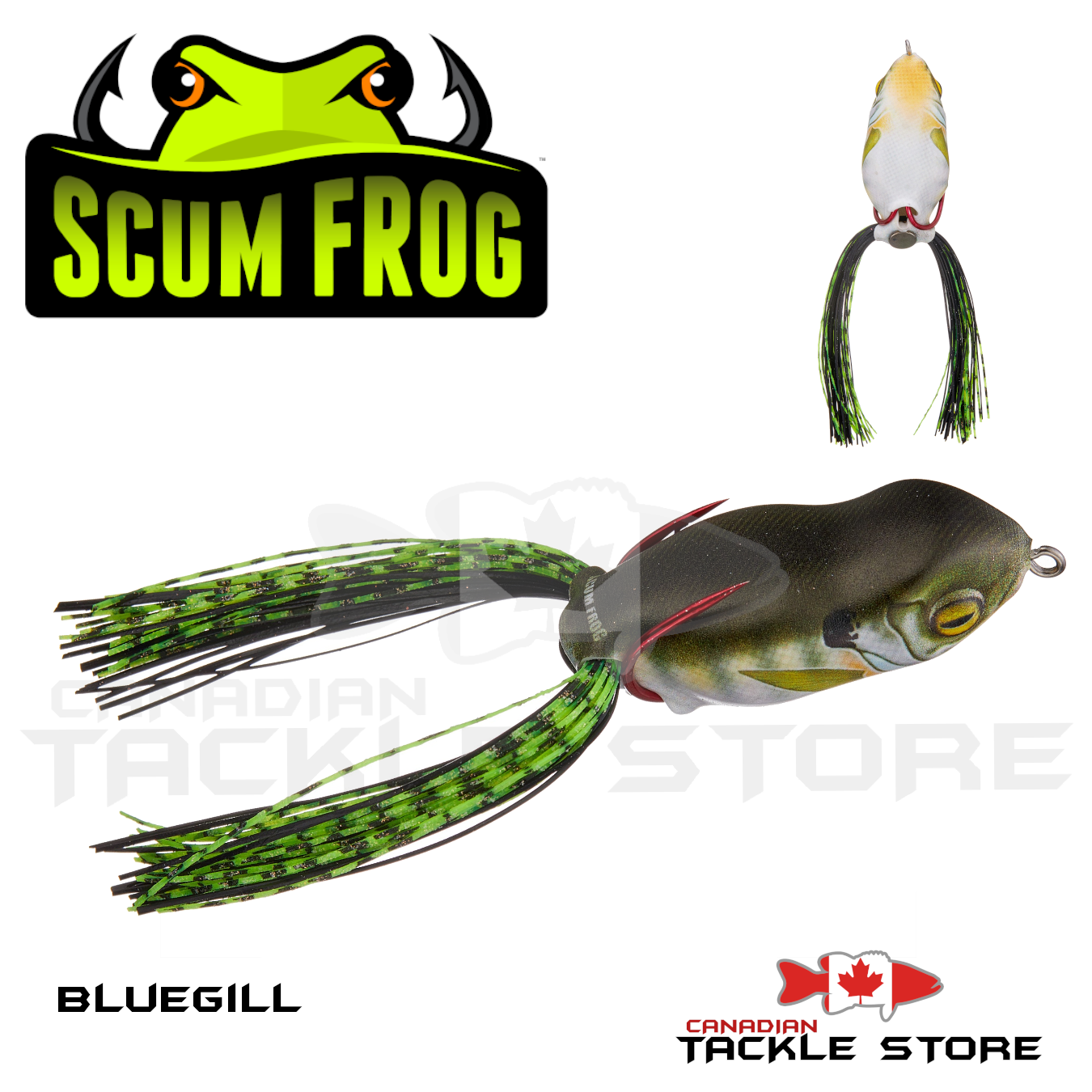 Buy Scum Frog Thomas & Friends Southern Lure Scum Frog Popper
