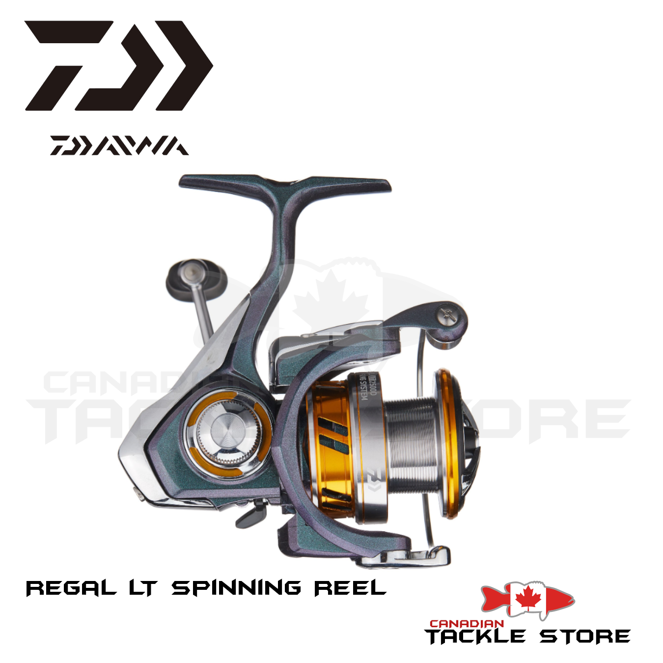 Daiwa Regal LT Spinning Reel – Canadian Tackle Store, 47% OFF