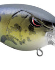 SPRO Mike McClelland RkCrawler MD 55 Crankbait