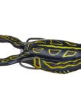 SPRO Flappin Frog 65