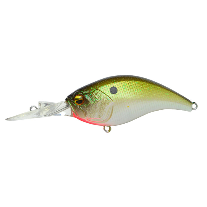 Raid Japan – Canadian Tackle Store