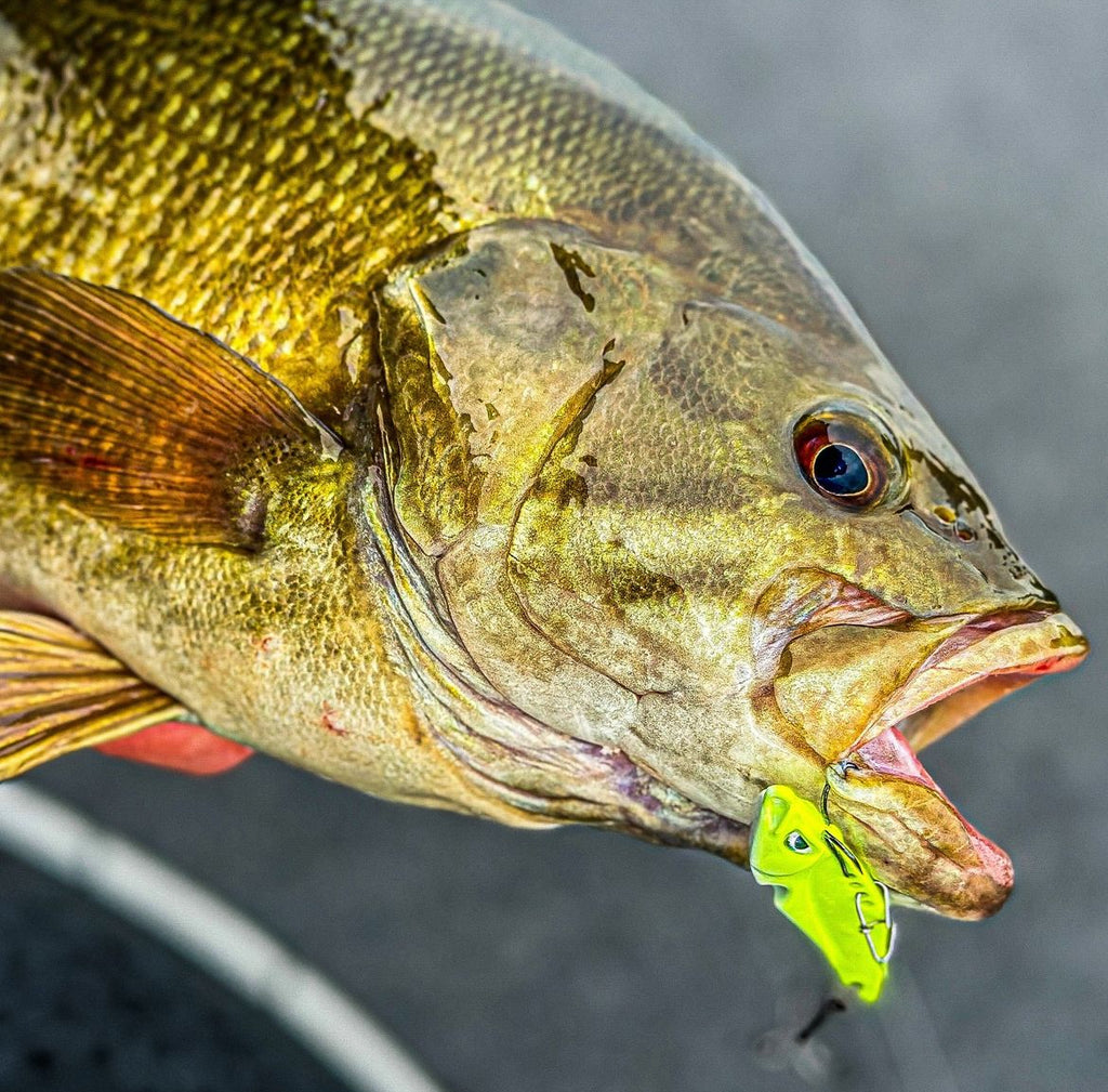 Canadian Tackle Store