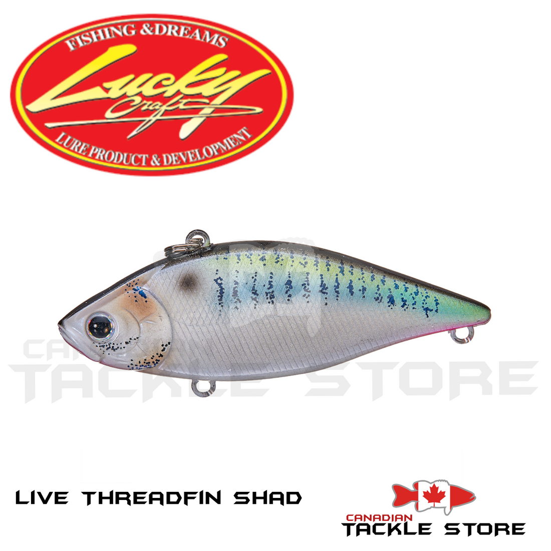 Lucky Craft LV 500 Live Threadfin Shad